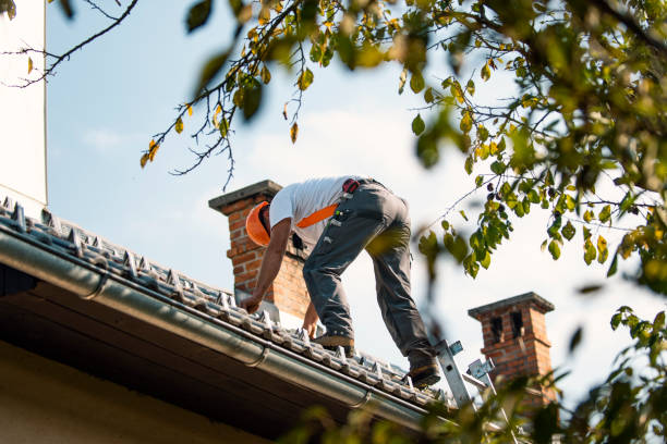 Best Roof Insulation Installation  in Mount Vernon, IA
