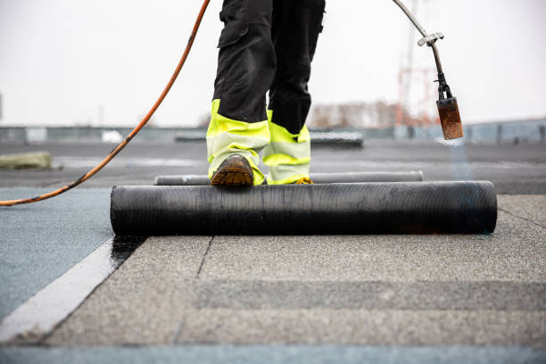Best Asphalt Shingles Roofing  in Mount Vernon, IA