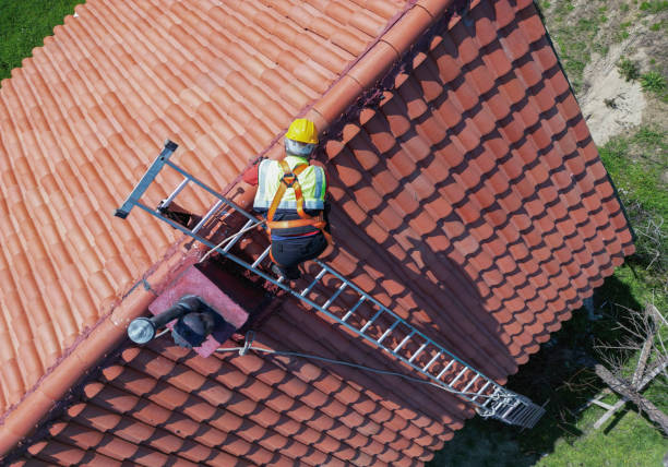 Best Roof Installation  in Mount Vernon, IA