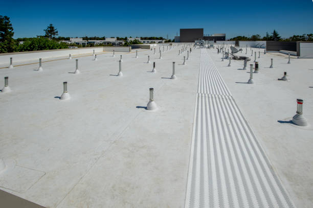 Best Roof Leak Repair  in Mount Vernon, IA